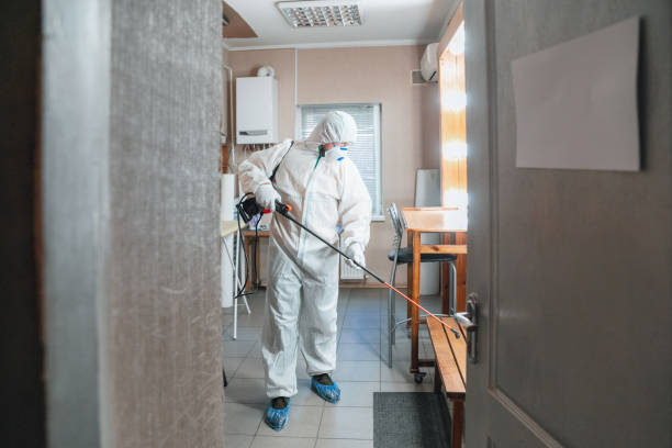 Best Basement Mold Removal  in Dallas, OR
