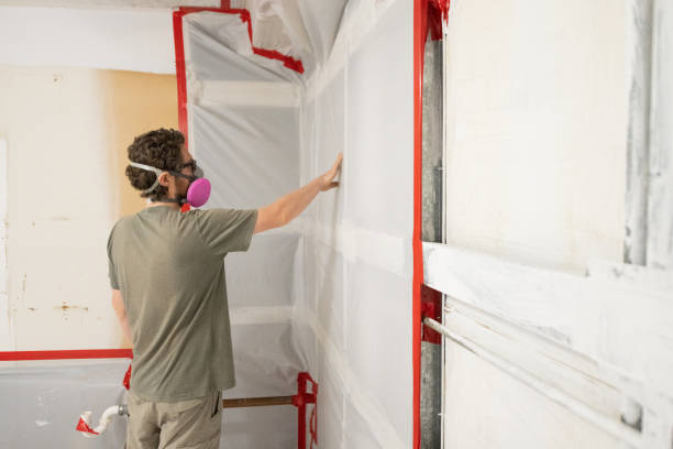 Trusted Dallas, OR Mold Removal Experts