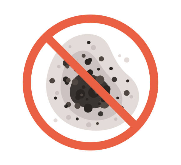 Best Black Mold Removal  in Dallas, OR